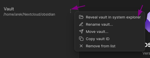 Screenshot - Options for a vault